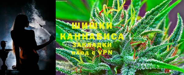 ГАЛЛЮЦИНОГЕННЫЕ ГРИБЫ Аркадак