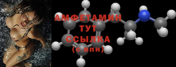 ГАЛЛЮЦИНОГЕННЫЕ ГРИБЫ Аркадак