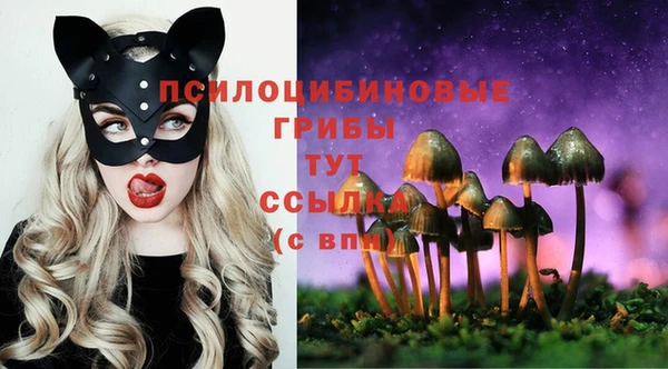 гидра Новодвинск