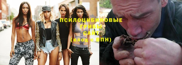 бошки Армянск