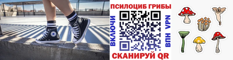 Псилоцибиновые грибы GOLDEN TEACHER  Суровикино 